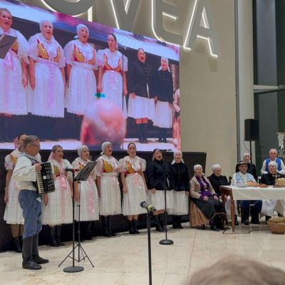 DFS Hochštetko a Zmiešaný zbor Hochštetňan  Obrázok 3