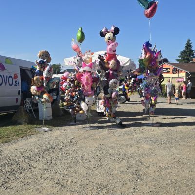 OSLAVY LETNÉHO SLNOVRATU  Obrázok 6