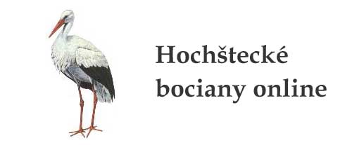 Online sledovanie Hochšteckých bocianov